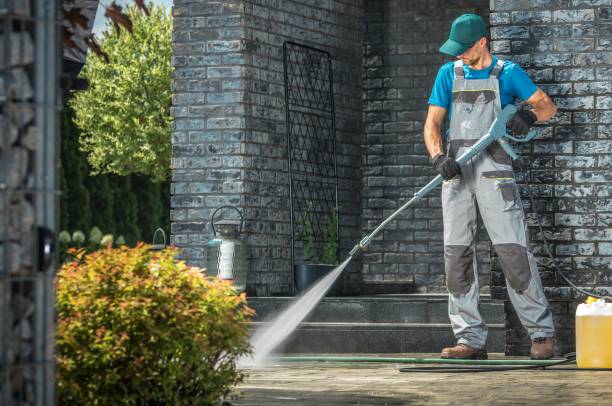 Best Soft Washing  in Florin, CA